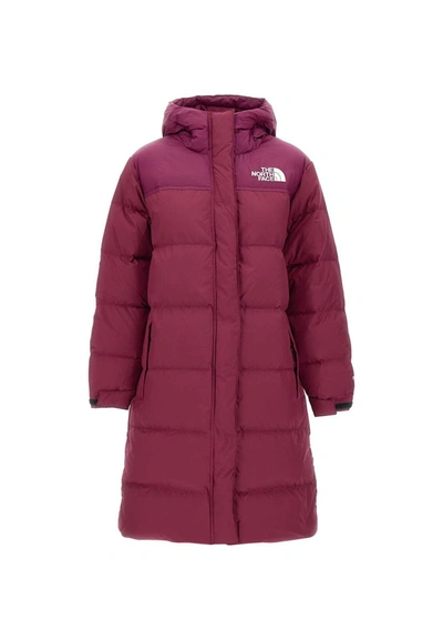 Shop The North Face "nuptse" Parka In Bordeaux