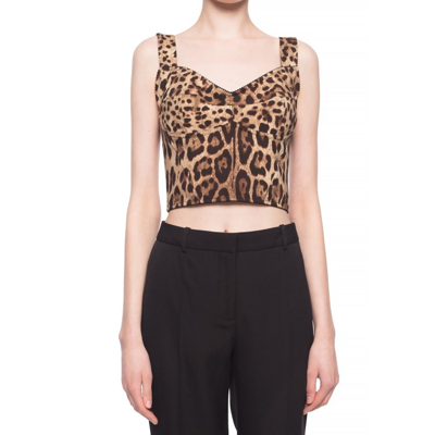Shop Dolce & Gabbana Cropped Top In Brown