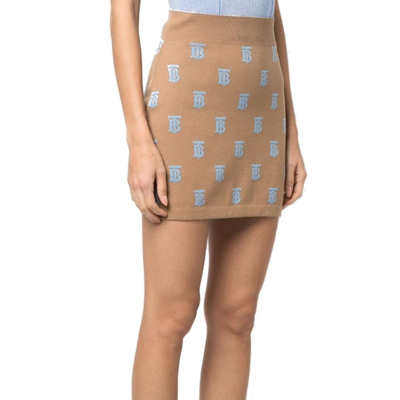 Shop Burberry Wool And Silk Skirt In Brown