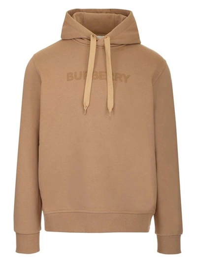 Shop Burberry Ansdell Hoodie Sweatshirt In Neutrals
