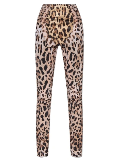 Shop Dolce & Gabbana Leopard Pants In Pink