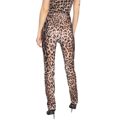 Shop Dolce & Gabbana Leopard Pants In Pink