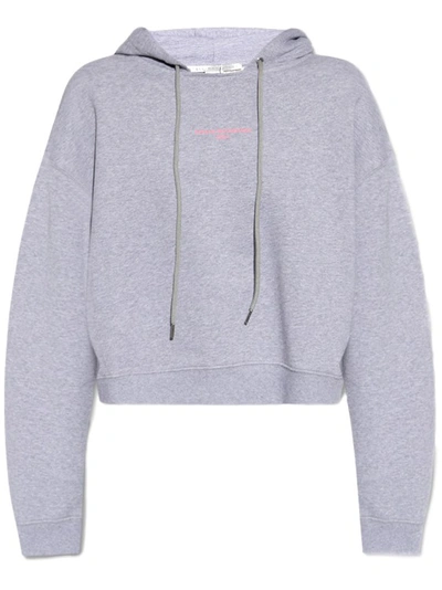 Shop Stella Mccartney Hoodie Sweatshirt In Grey
