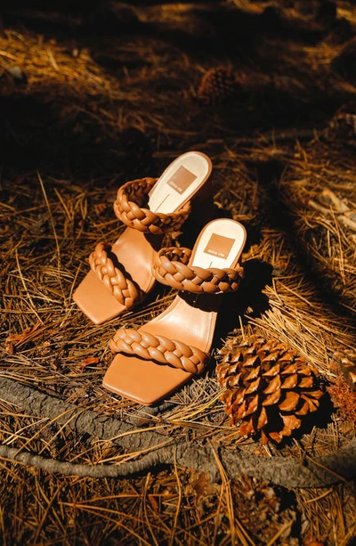 Dolce Vita Paily Braided Sandal In Caramel Stella