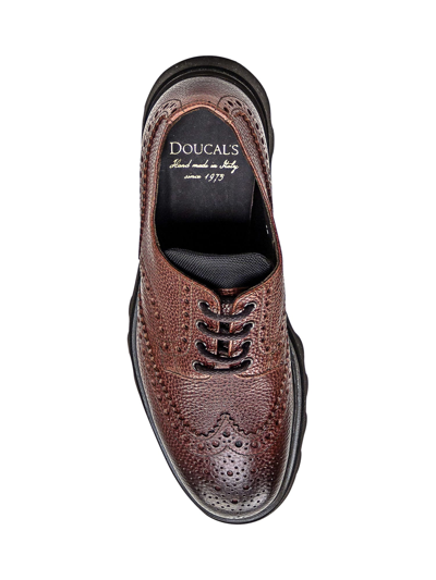 Shop Doucal's Derby Lace Up In Bruciato