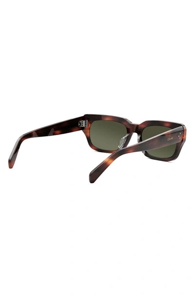 Shop Celine Bold 3 Dots 54mm Rectangular Sunglasses In Havana / Green