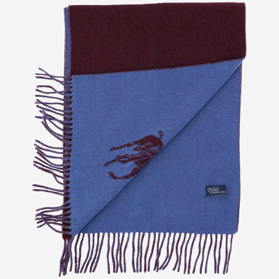 Shop Ralph Lauren Wool Blend Scarf With Logo In Blue