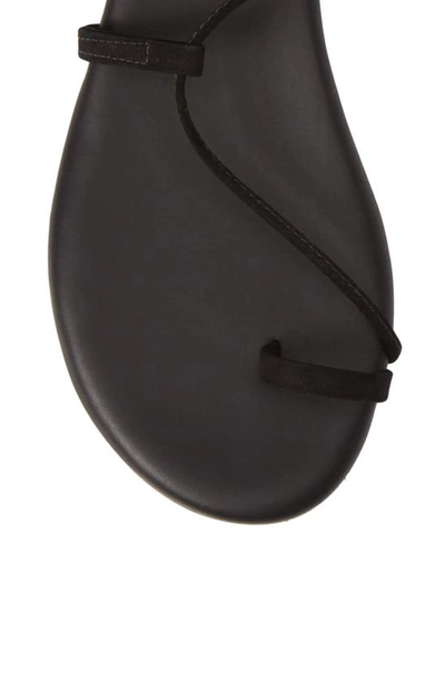 Shop Tkees Jo Lace-up Sandal In Black