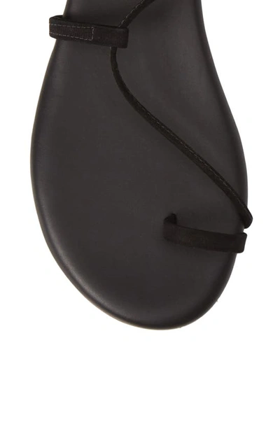 Tkees Jo Lace-up Sandal In Black