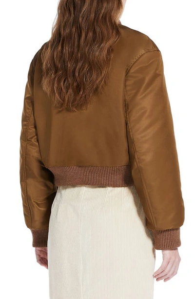 Weekend Max Mara Ribbed-trim Cropped Bomber Jacket In Tobacco