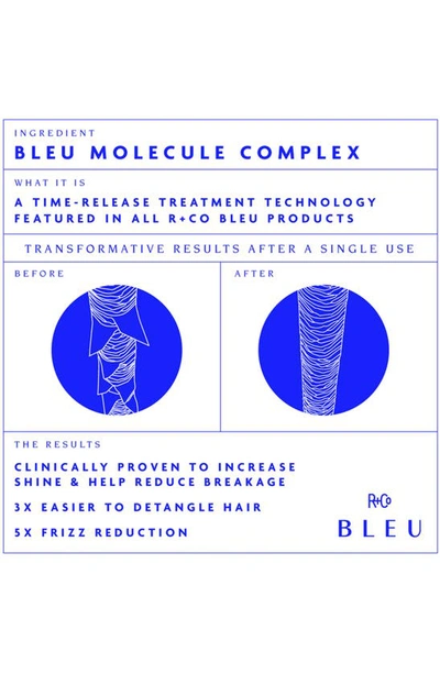 R + Co Bleu Essential Shampoo