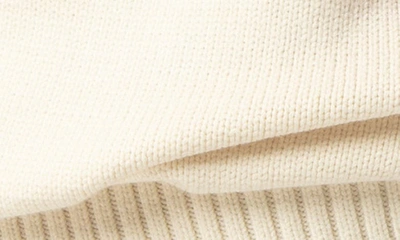 Shop Alp N Rock Killian Ii Turtleneck Sweater In Ivory