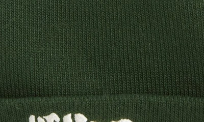 Shop The North Face Dock Worker Recycled Beanie In Pine Needle/ Bear Graphic