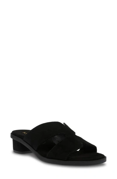 Shop Anne Klein Timmy Slide Sandal In Black