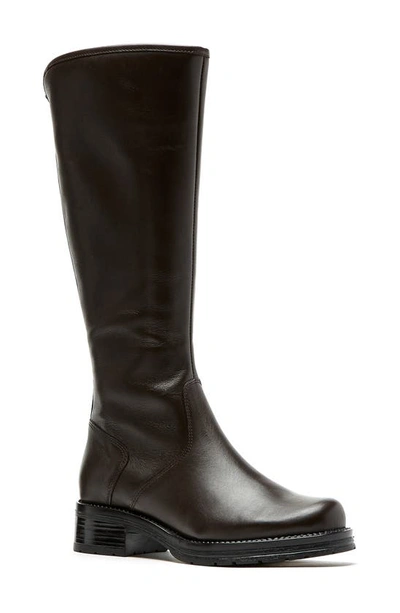 Shop La Canadienne Lynette Waterproof Knee High Boot In Brown Leather