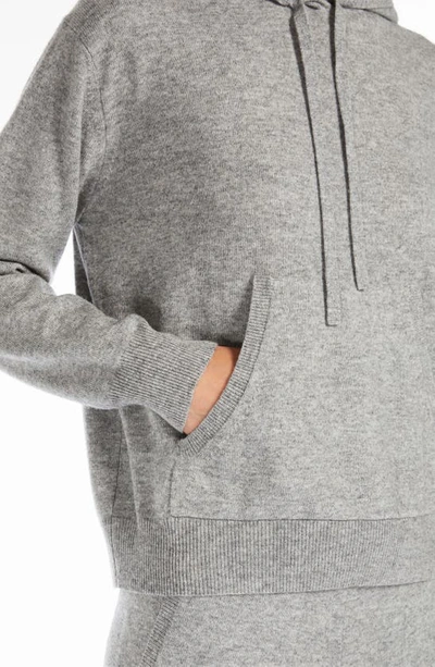 Shop Max Mara Luppolo Wool & Cashmere Hoodie Sweater In Light Grey