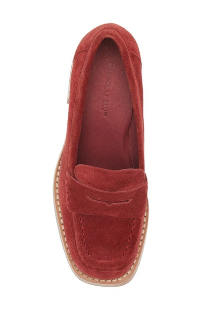 Shop Chocolat Blu Irene Penny Loafer Pump In Bordo Suede