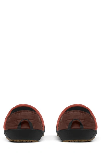 Shop The North Face Thermoball™ Traction Water Resistant Slipper In Brandy Brown/ Coal Brown