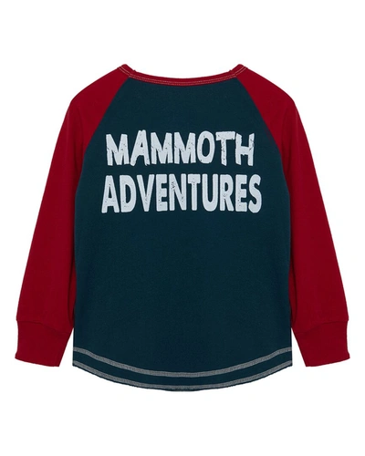 Shop Peek Mammoth Adventures T-shirt In Blue