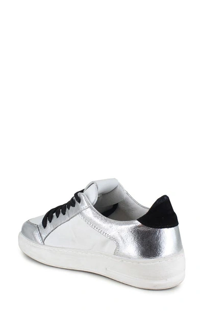 Ziginy Ruta Water Resistant Sneaker In White Black