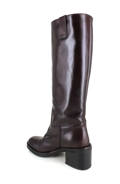 Ziginy Isle Water Resistant Knee High Boot In Brown Leather