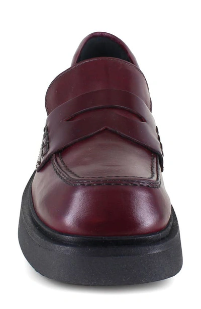 Shop Ziginy Zigi Geraldine Platform Penny Loafer In Wine Leather