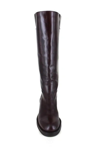 Ziginy Isle Water Resistant Knee High Boot In Brown Leather