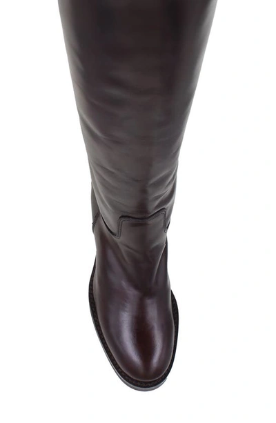 Ziginy Isle Water Resistant Knee High Boot In Brown Leather