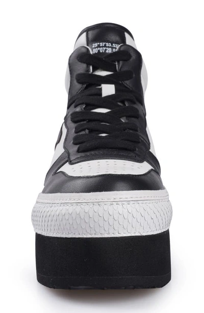 Ziginy Bruce Water Resistant Platform Sneaker In Black White Leather