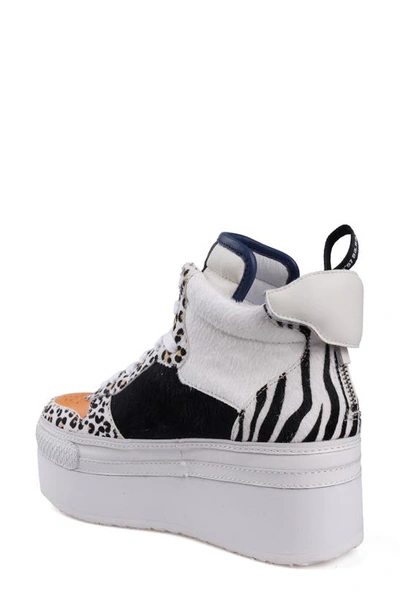 Ziginy Bruce Water Resistant Platform Sneaker In White Multi L