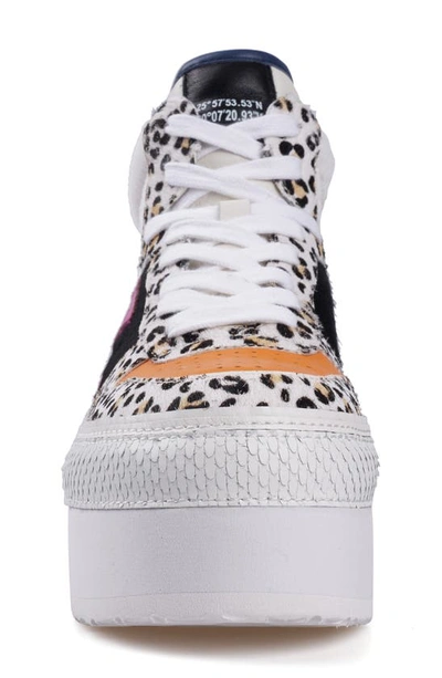Ziginy Bruce Water Resistant Platform Sneaker In White Multi L
