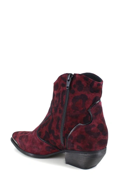 Ziginy Gretchen Water Resistant Western Boot In Brick Leather