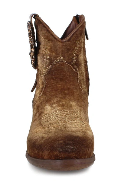 Ziginy Edith Water Resistant Velvet Western Boot In Tan Velvet