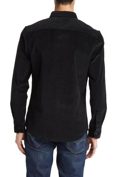 Shop Nordstrom Tech-smart Trim Fit Stretch Cotton Button-down Shirt In Black