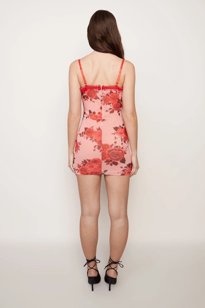 Shop Danielle Guizio Ny Mesh Mini Dress In Pink Rose