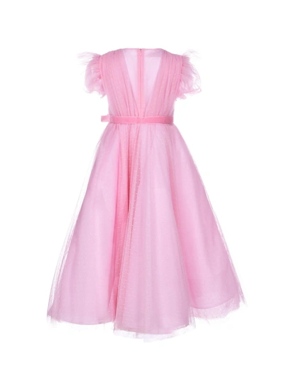 Shop Marchesa Embellished Plumentis Gown In Pink