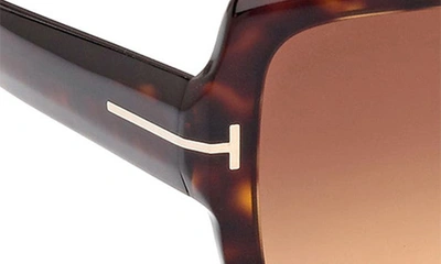 Shop Tom Ford Kaya 54mm Square Sunglasses In Shiny Dark Havana / Brown