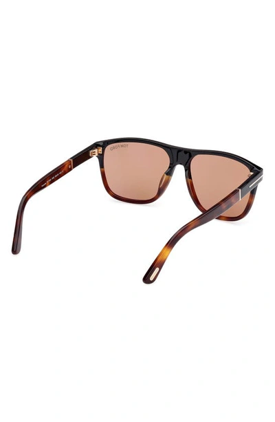 Shop Tom Ford Frances 58mm Square Sunglasses In Black Blonde / Brown