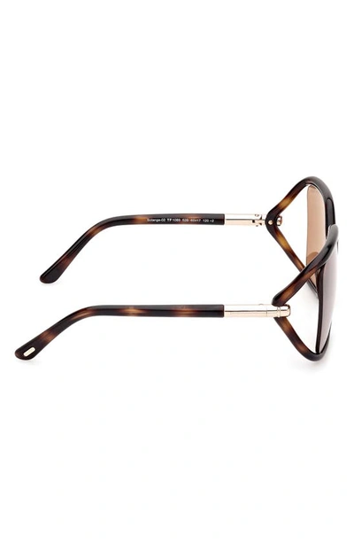 Shop Tom Ford Solange-02 60mm Butterfly Sunglasses In Shiny Dark Havana / Brown