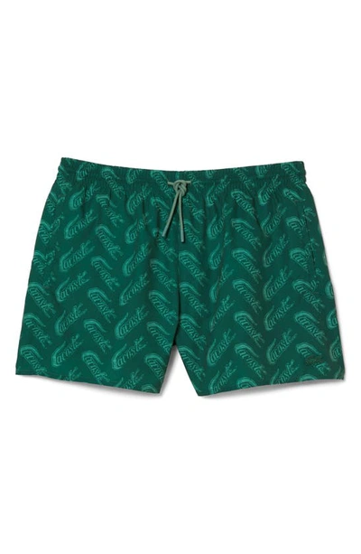 Shop Lacoste Logo Print Cotton Swim Trunks In W1i Green/ Ash Tree