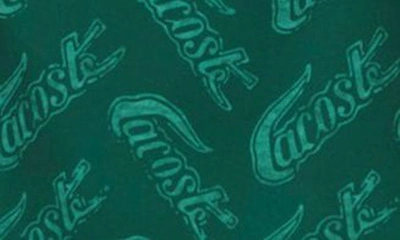 Shop Lacoste Logo Print Cotton Swim Trunks In W1i Green/ Ash Tree