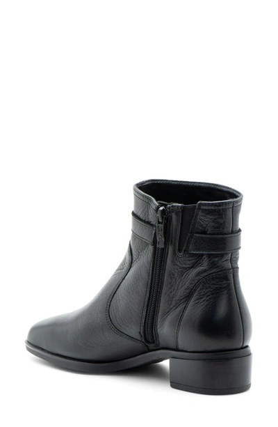 Shop Ara Grafton Bootie In Black