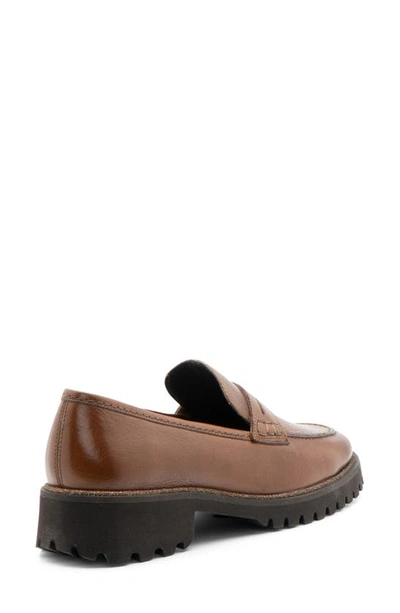 Shop Ara Karina Penny Loafer In Nuts