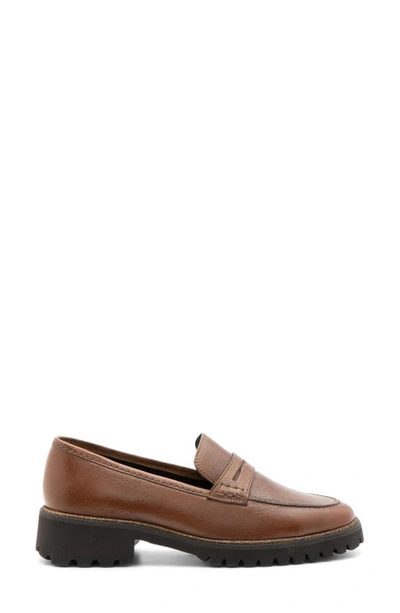 Ara Karina Penny Loafer In Nuts