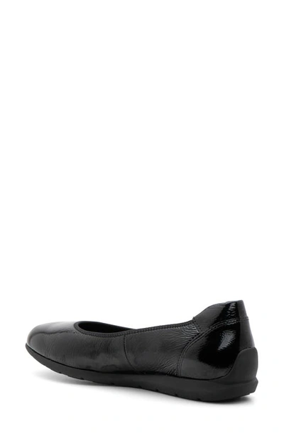 Shop Ara Sh Flat In Black