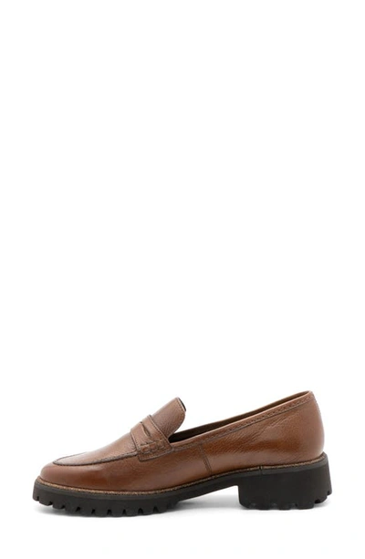 Ara Karina Penny Loafer In Nuts