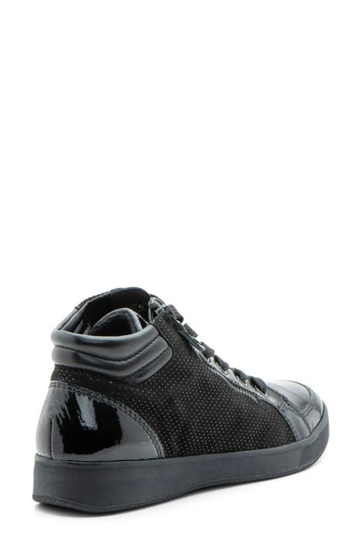 Shop Ara Rei Sneaker In Black