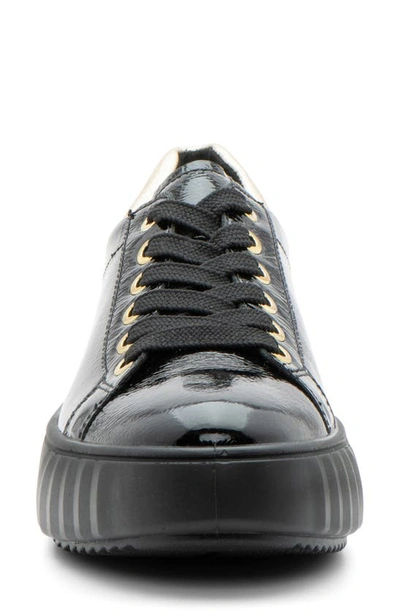 Shop Ara Mikky Platform Sneaker In Black/ Platinum