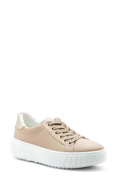 Shop Ara Mikky Platform Sneaker In Sand/ Platinum