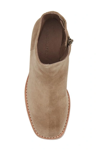Chocolat Blu Ime Zip Bootie In Taupe Suede